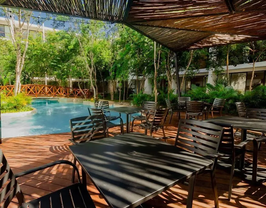 Dk39 Vpn Access *Stunning Tulum Sunset *Pool *Gym *Yoga Apartment