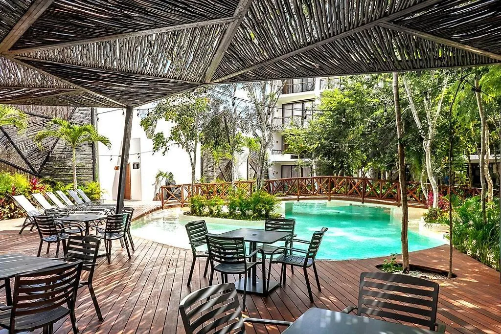 Dk39 Vpn Access *Stunning Tulum Sunset *Pool *Gym *Yoga Apartment