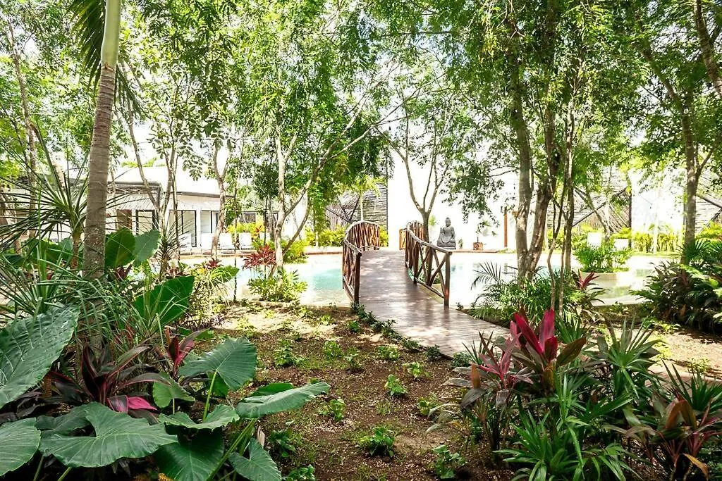 Dk39 Vpn Access *Stunning Tulum Sunset *Pool *Gym *Yoga Apartment