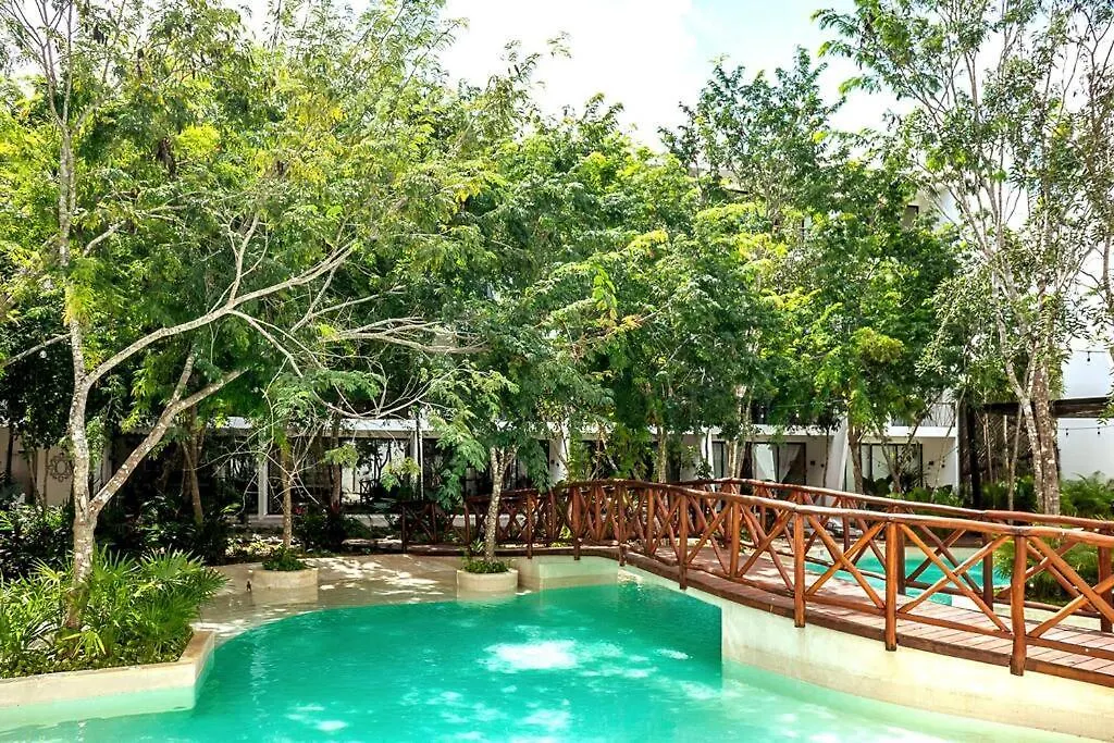 Apartmán Dk39 Vpn Access *Stunning Tulum Sunset *Pool *Gym *Yoga