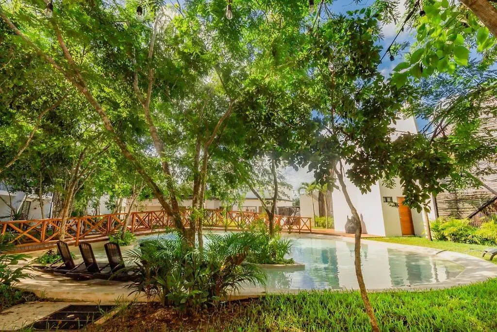 Apartmán Dk39 Vpn Access *Stunning Tulum Sunset *Pool *Gym *Yoga